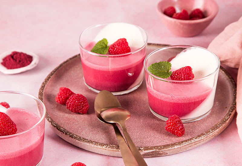 Hibiscus Panna Cotta