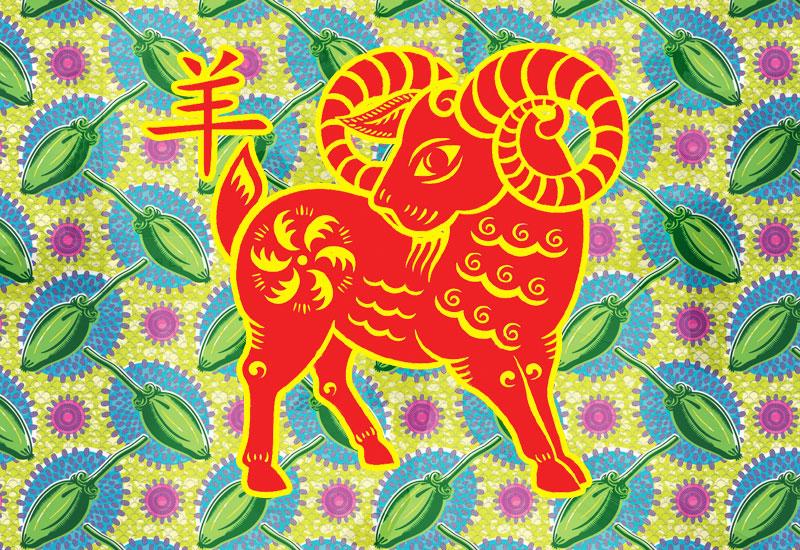 A Beginners Guide To Traditional Chinese Medicines