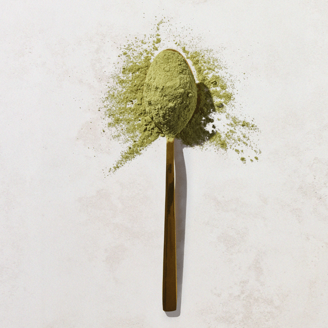 A spoon filled with green Aduna Super Greens Superfood Blend powder