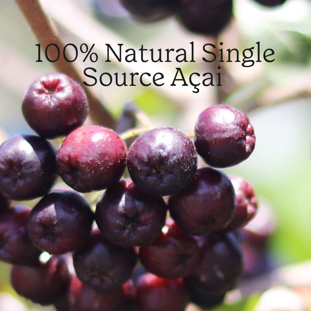 Açai Powder