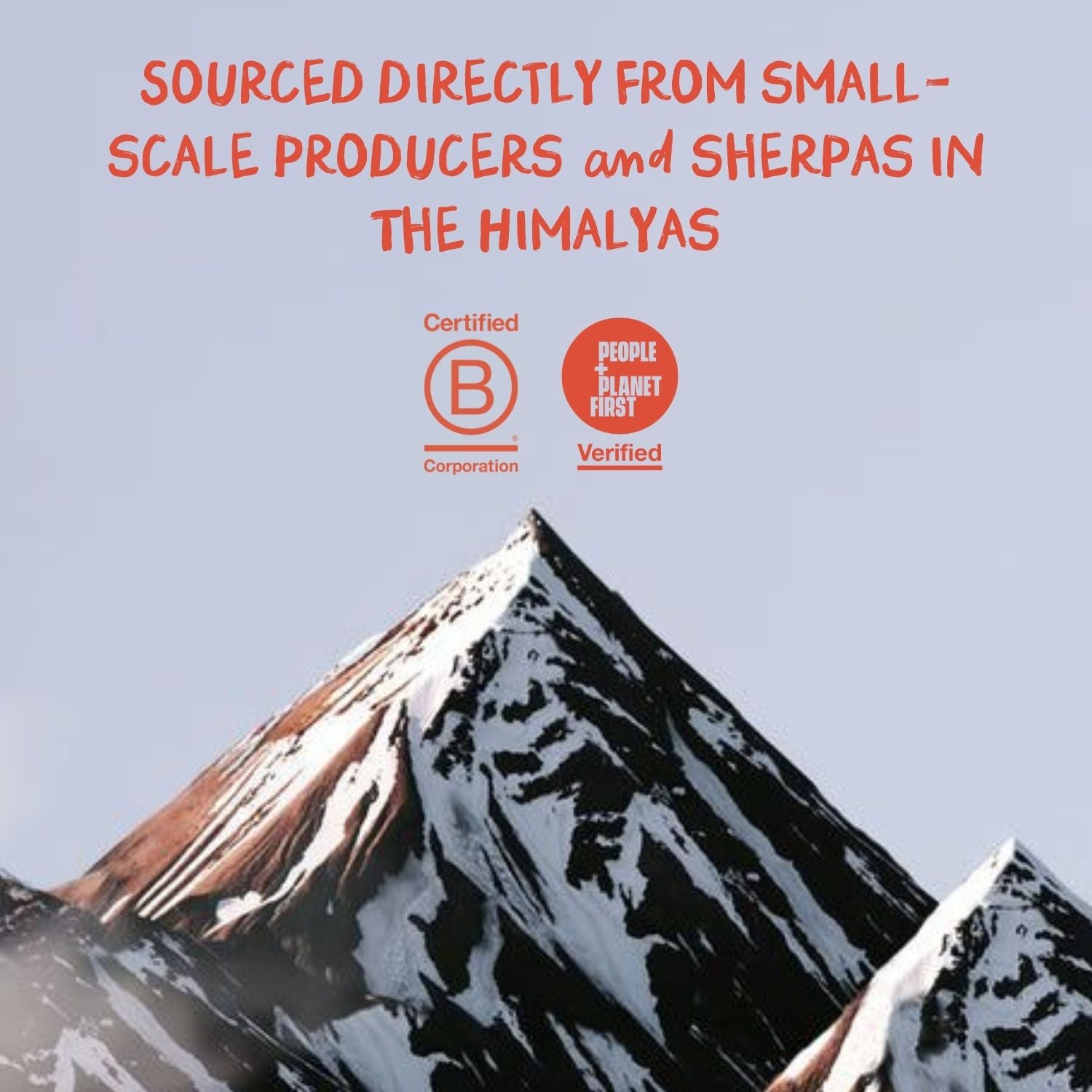 Shilajit Capsules