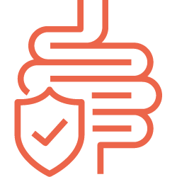 Gut health icon.