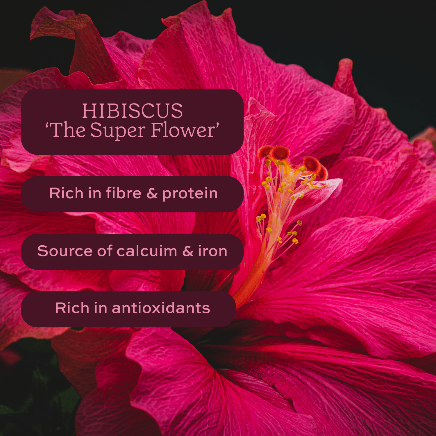 Close-up of a pink hibiscus flower with text highlighting its health benefits.