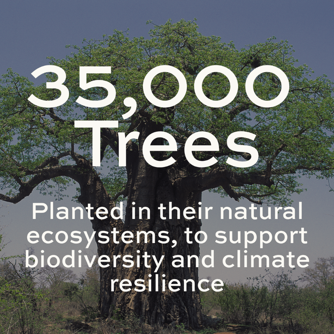 Large tree with text overlay: "35,000 Trees planted in their natural ecosystems, to support biodiversity and climate resilience."