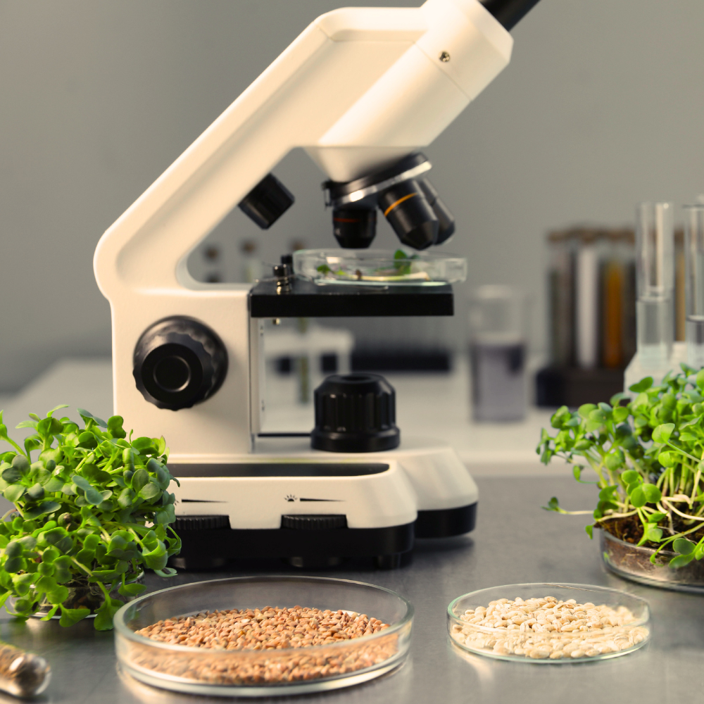 Microscope with glass slides containing samples on a laboratory counter.