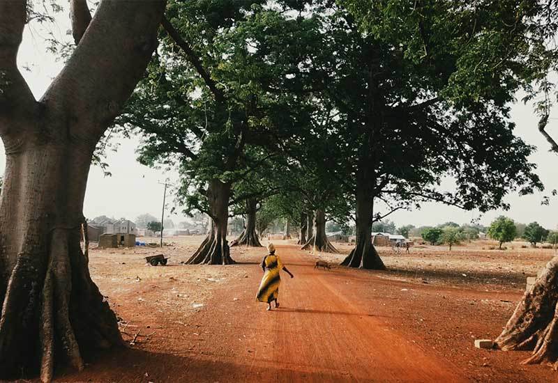 The Great Green Wall