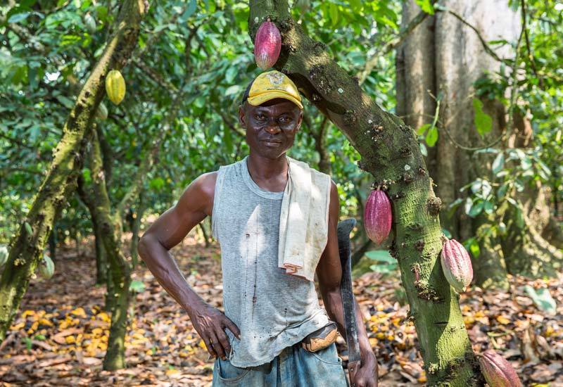 Super Cacao: Social Impact