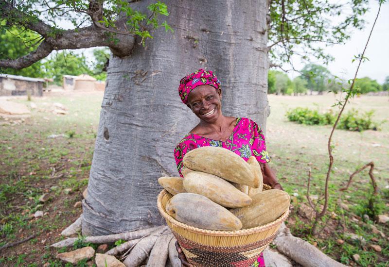 Baobab: Social Impact