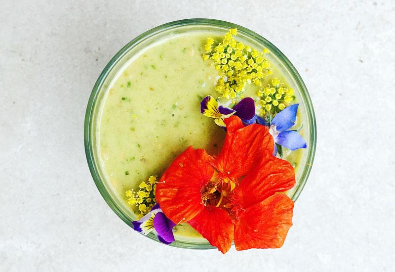 Moringa Probiotic Kefir Smoothie
