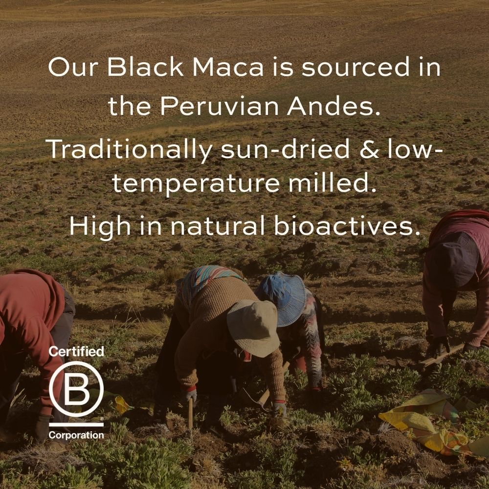 Our Black Maca is sourced in the Peruvian Andes. High in natural bioactives