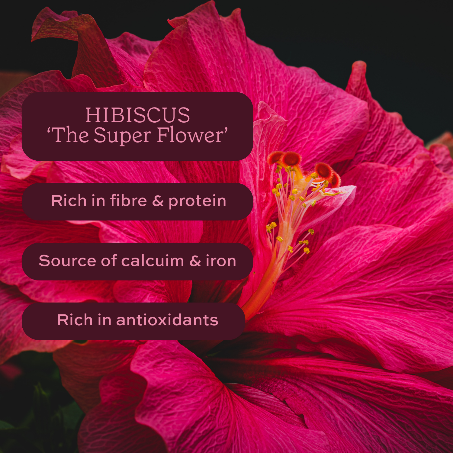 Radiance: Hibiscus Tea